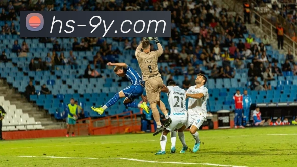 九游9YOU官网平台生态图